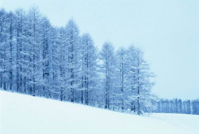 冰雪摄影摄影技巧大盘点