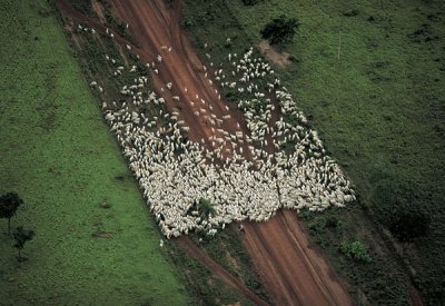 Yann Arthus-Bertrand摄影作品