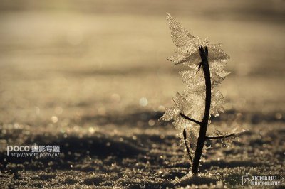 浅谈微型风景摄影的用光