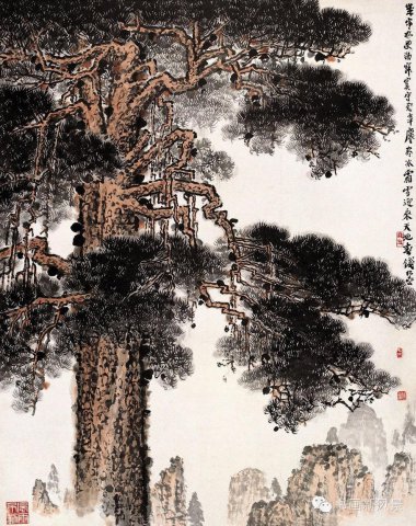 钱松嵒国画松树