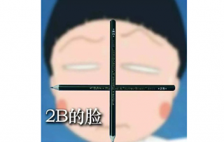 2b脸什么意思 没有A4腰宝宝我有2B脸