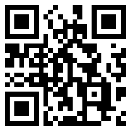 Code Wiki手机版