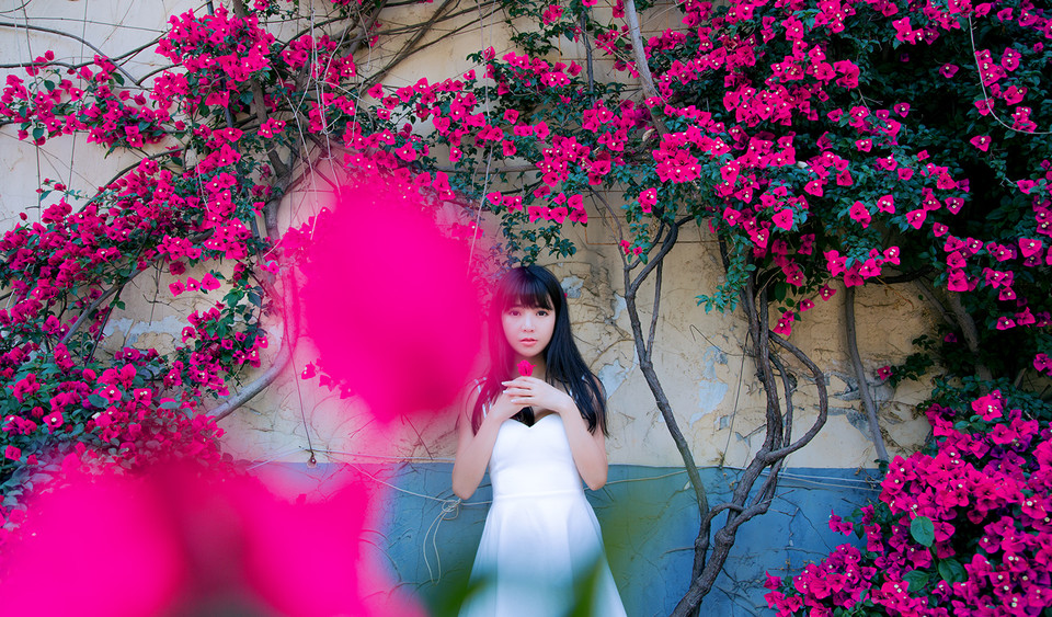 安静如女神般矜持 花海人像写真摄影