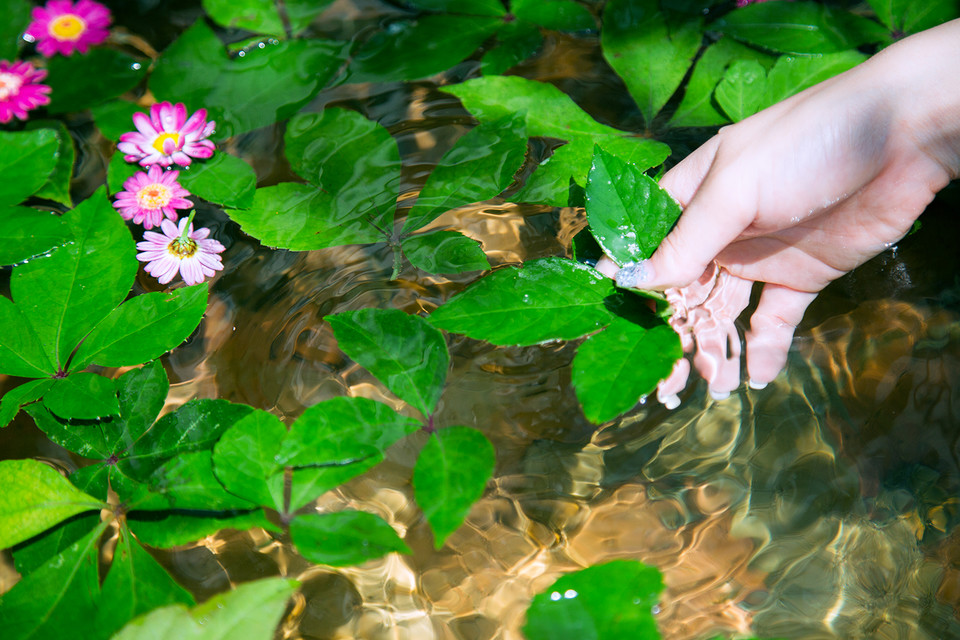 安静如女神般矜持 花海人像写真摄影