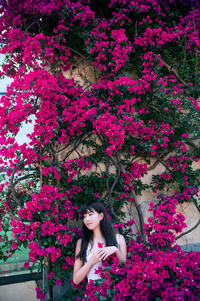 安静如女神般矜持 花海人像写真摄影