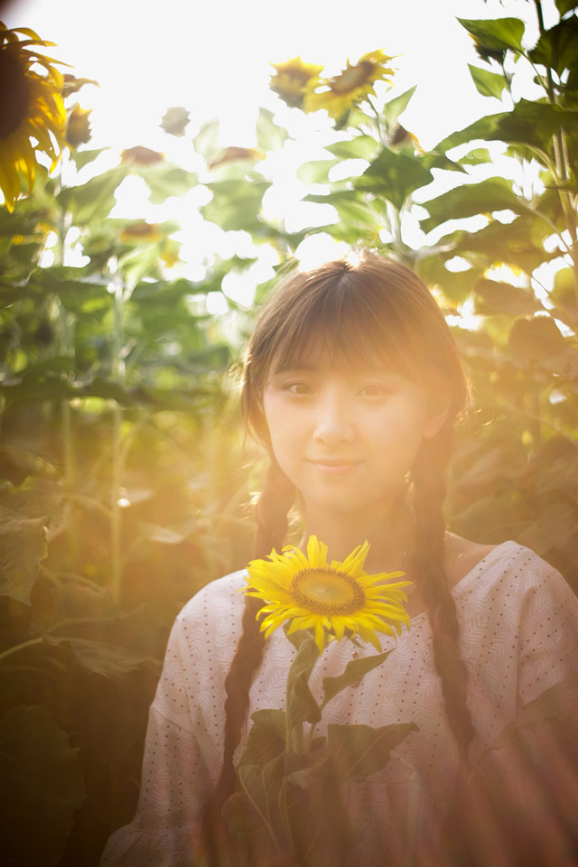 宜昌郭家湾向日葵花海 摄影师许飞人像摄影写真欣赏