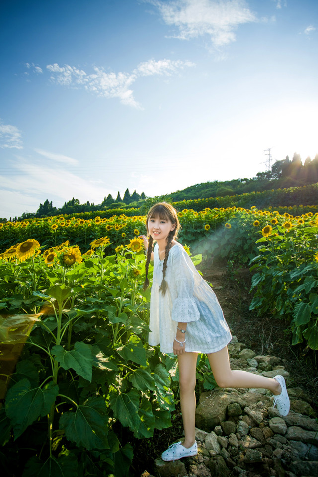 宜昌郭家湾向日葵花海 摄影师许飞人像摄影写真欣赏