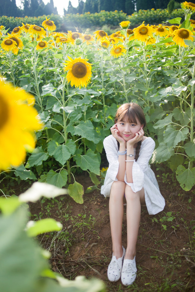 宜昌郭家湾向日葵花海 摄影师许飞人像摄影写真欣赏