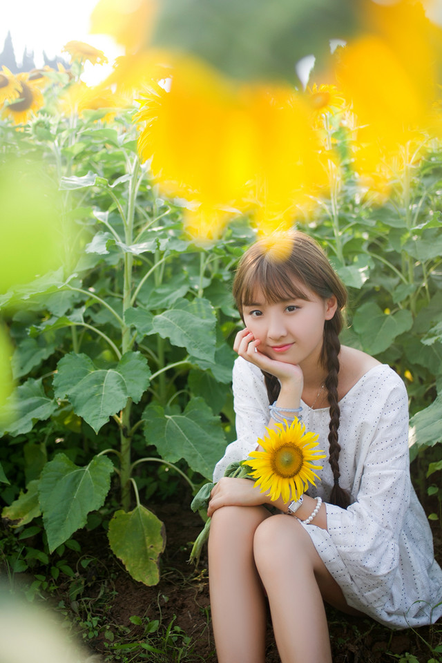 宜昌郭家湾向日葵花海 摄影师许飞人像摄影写真欣赏