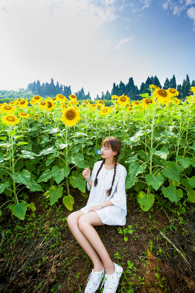 宜昌郭家湾向日葵花海 摄影师许飞人像摄影写真欣赏