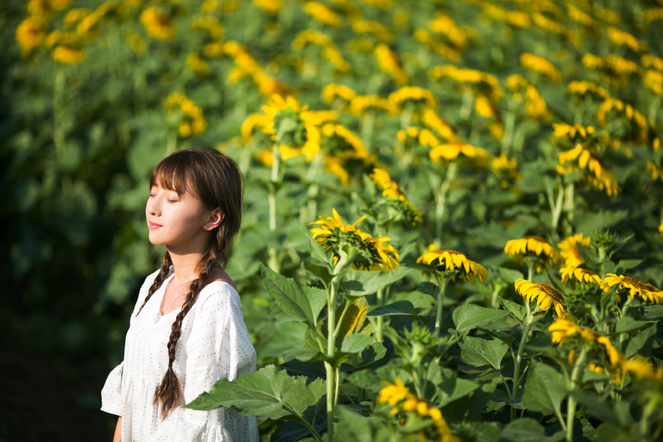 宜昌郭家湾向日葵花海 摄影师许飞人像摄影写真欣赏