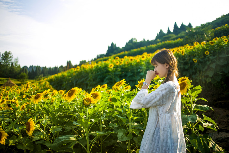 宜昌郭家湾向日葵花海 摄影师许飞人像摄影写真欣赏