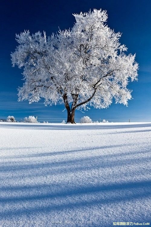 雪景拍摄摄影技巧全攻略