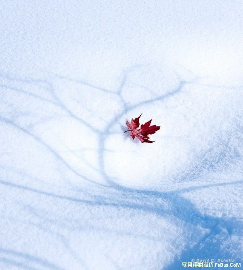 雪景拍摄摄影技巧全攻略