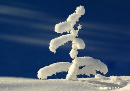 雪景拍摄摄影技巧全攻略