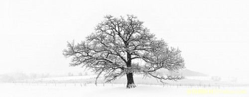 雪景拍摄摄影技巧全攻略