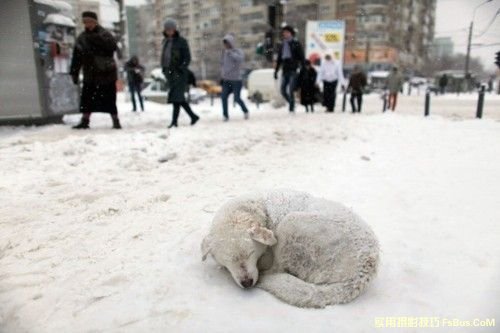 雪景拍摄摄影技巧全攻略