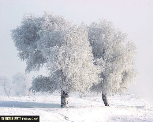 浓雾雪景的三大拍摄技法