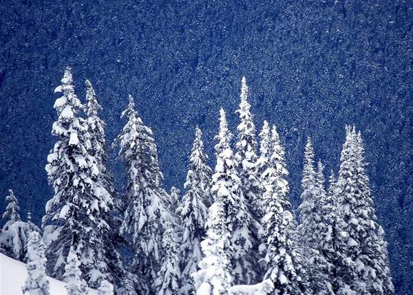 冰雪摄影摄影技巧大盘点