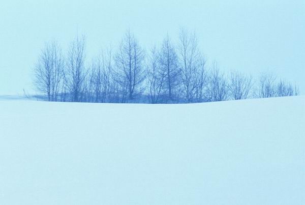 冰雪摄影摄影技巧大盘点