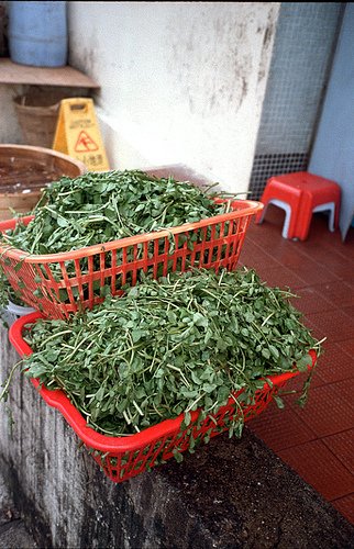 教你如何灵活运用散景效果