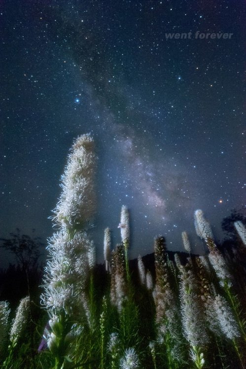 星空摄影之另一种武器“宫坂大法”