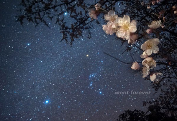 星空摄影之另一种武器“宫坂大法”