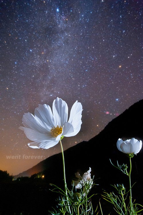 星空摄影之另一种武器“宫坂大法”