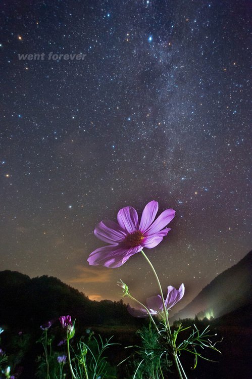 星空摄影之另一种武器“宫坂大法”