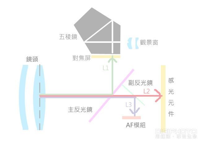 摄影新手进阶：什么是移焦