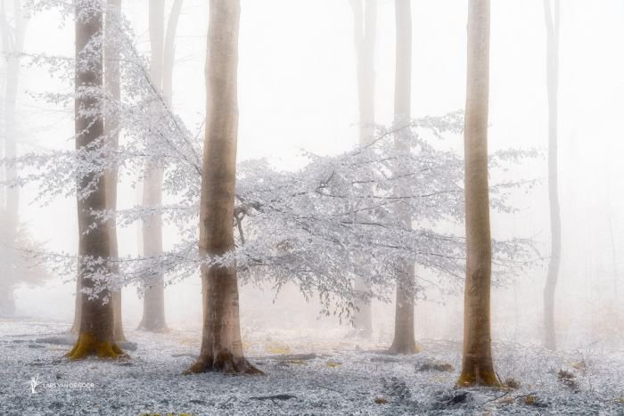 荷兰摄影师Lars van de Goor风光摄影作品