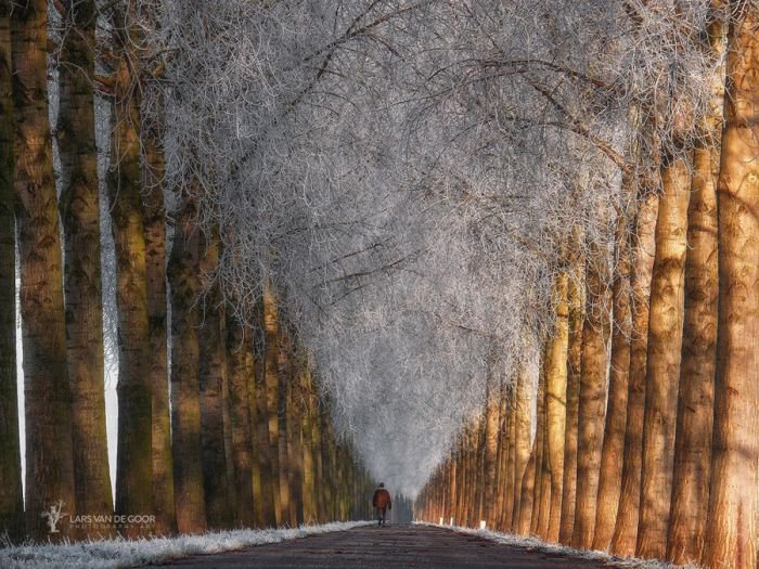 荷兰摄影师Lars van de Goor风光摄影作品