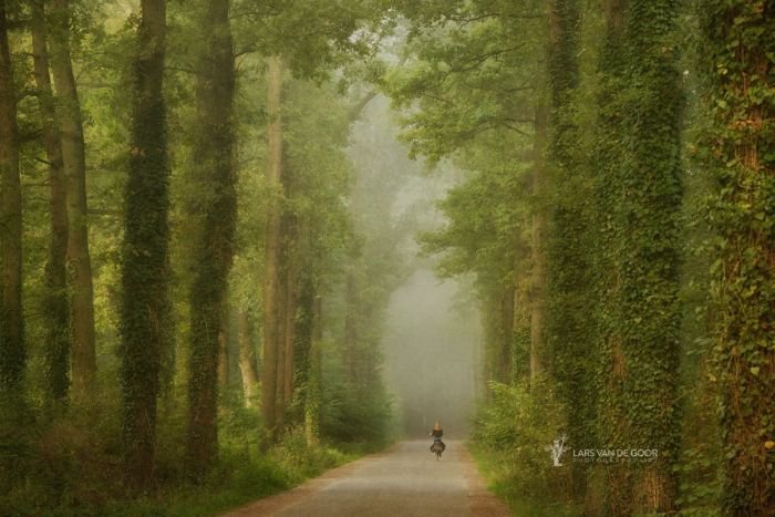 荷兰摄影师Lars van de Goor风光摄影作品