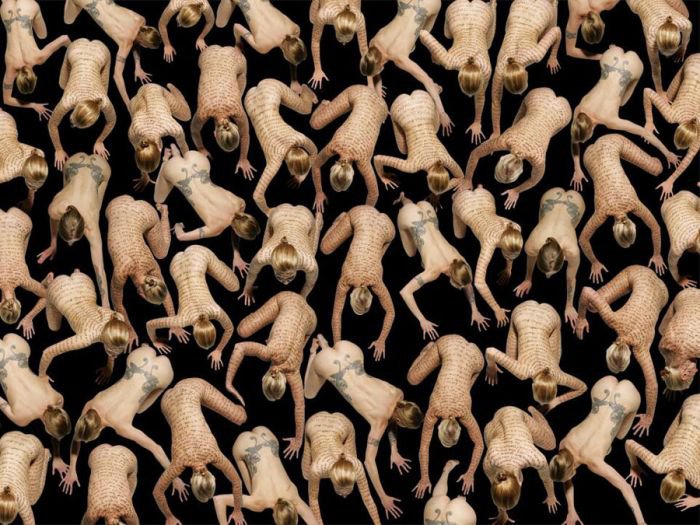 德国艺术家 Claudia Rogge 巴洛克人体：欲望与罪恶