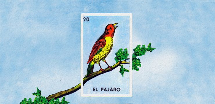 LOTERIA! 拉丁游戏插画设计