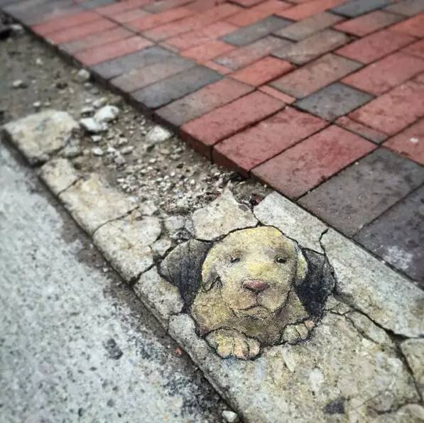 粉笔画艺术大师David Zinn 他靠一支粉笔在路上养了29年动物