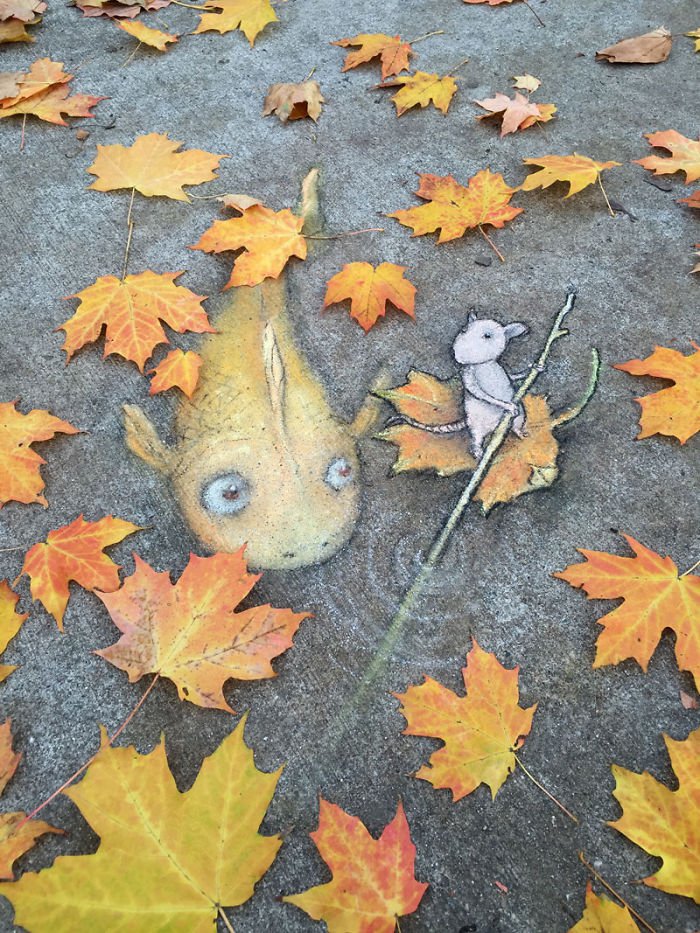 粉笔画艺术大师David Zinn 他靠一支粉笔在路上养了29年动物