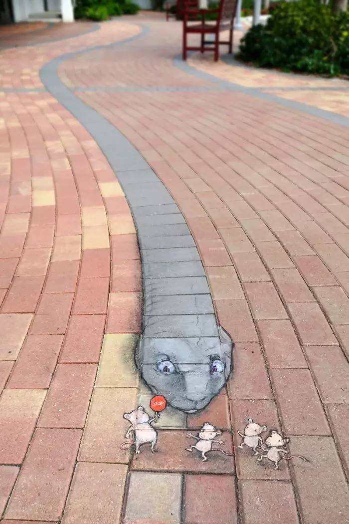 粉笔画艺术大师David Zinn 他靠一支粉笔在路上养了29年动物