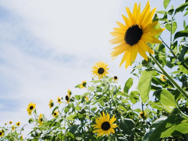 俞敏洪：活在点子上