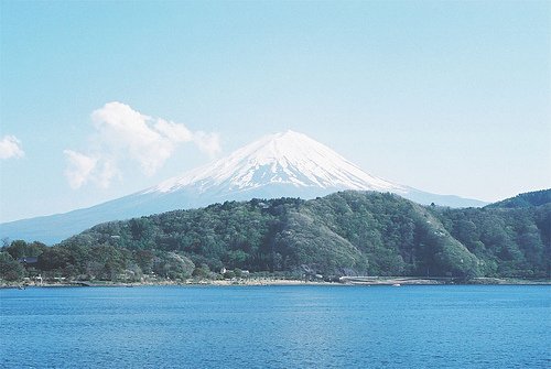 早安心语：悲伤唤不回流逝的时光