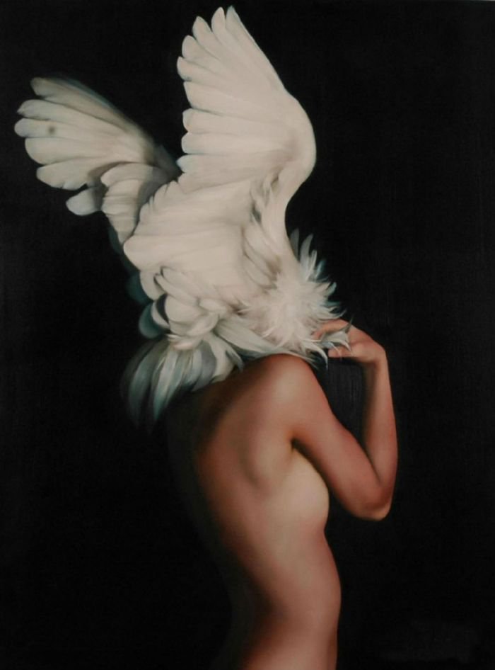 艺术家Amy Judd古典摄影：女人与羽毛