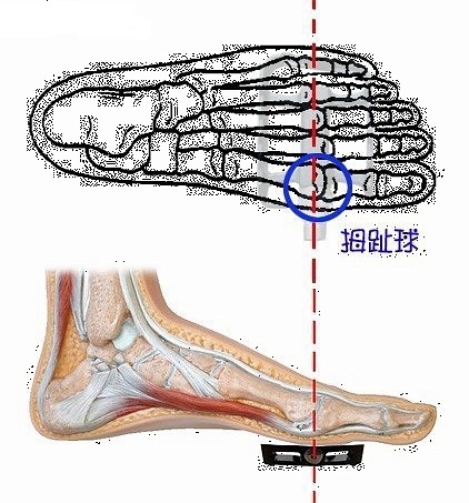 骑动感单车腿会变粗吗 掌握正确姿势不粗腿