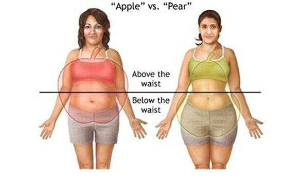 腿细肚子大怎么回事 5大因素及解决措施诠释苹果型身材