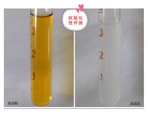 雪肌精化妆水盈润型 既可以补水保湿还能美白