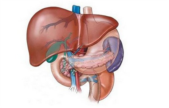 肝功能异常的原因 肝功能异常或是这8种原因