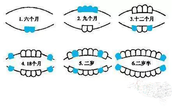 宝宝出牙晚是缺钙吗 家长应避免盲目补钙