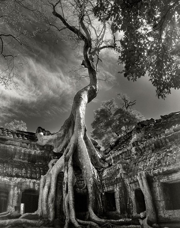 Angkor-Passage-copy