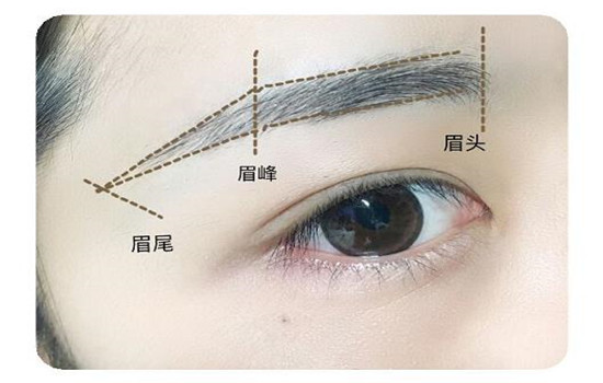 画眉步骤图解新手入门 新手党不能错过的画眉教程