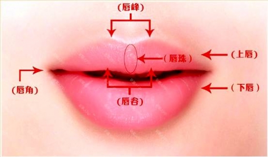 画唇的步骤 简单易懂的画唇大法