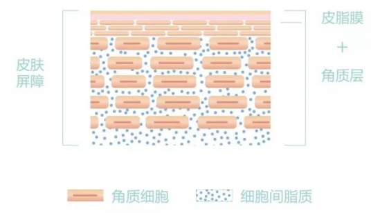 冬季护肤小常识 常常护肤也显得皮肤糟糕？